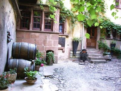 Rotweine aus Frankreich, Italien, Spanien